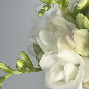 Раскидистый свадебный букет невесты из 19 фрезий