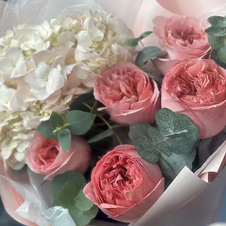 Дуо-букет пионовидных роз Pink Expression и гортензий S