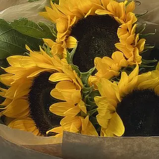 Солнечный букет из 3 подсолнухов