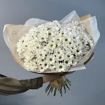 Букет из 25 белых кустовых хризантем Bacardi