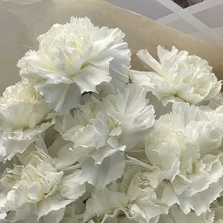 Букет из 15 белых гвоздик