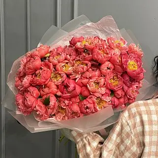 Букет из 51 пиона Coral Sunset