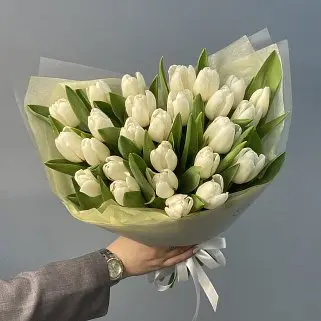 Букет из 25 белых тюльпанов