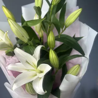 Букет из 3 белых лилий
