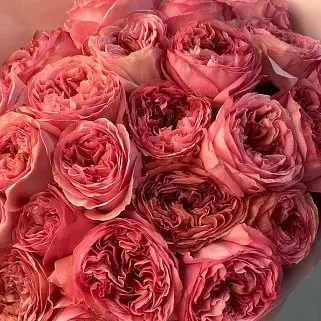 Букет пионовидных роз Pink Expression L