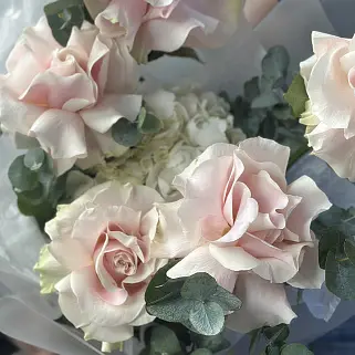 Дуо-букет французских роз Mondial и гортензий S