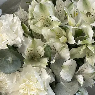 Белый дуо-букет альстромерий и гвоздик S