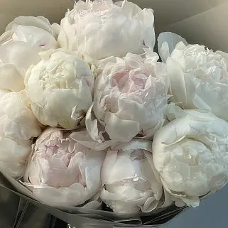 Букет из 9 белых пионов