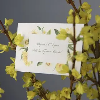 Открытка "Пусть в душе всегда будет весна"