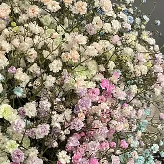 Букет в шляпной коробке из цветной гипсофилы