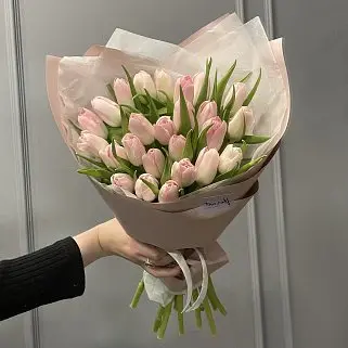 Букет из 25 розовых тюльпанов