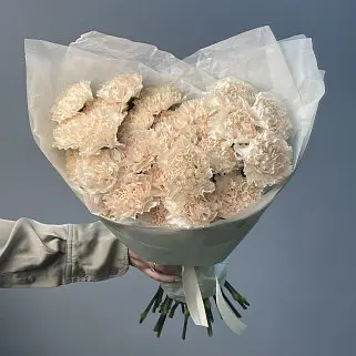 Букет из 25 персиковых гвоздик