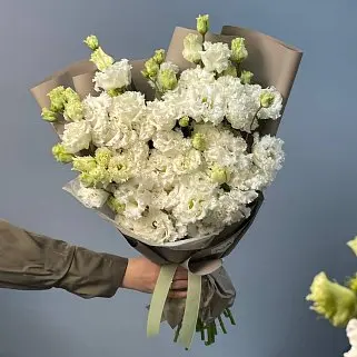 Букет из 11 белых эустом