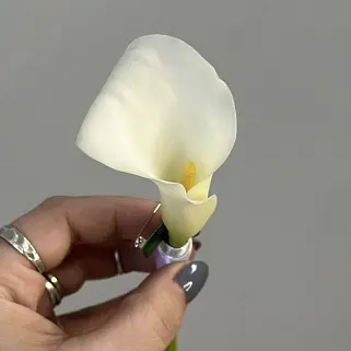 Бутоньерка