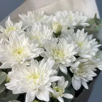 Букет из 3 кустовых хризантем Baltica и эвкалипта