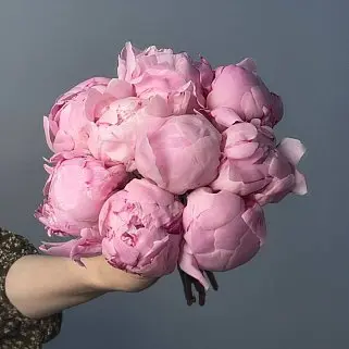 Свадебный букет невесты из 9 розовых пионов