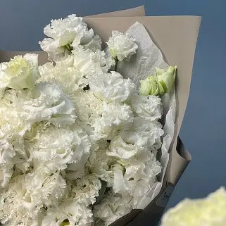 Букет из 15 белых эустом