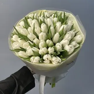 Букет из 51 белого тюльпана