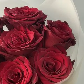 Букет из 7 роз Explorer