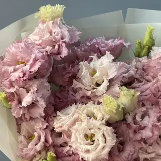 Букет из 15 розовых эустом