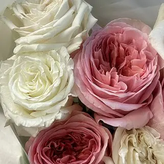 Букет пионовидных роз Pink Expression и Playa Blanca XS