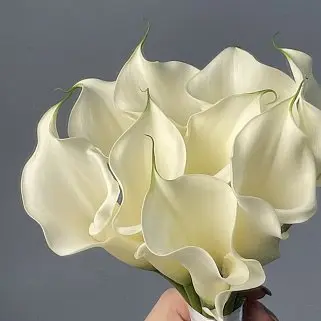 Свадебный букет невесты из 9 калл