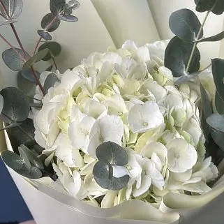 Букет белой гортензии