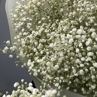 Букет из 9 веточек гипсофилы
