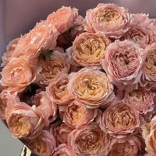 Букет из 15 кустовых пионовидных роз Juliet