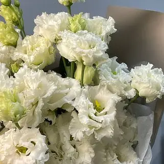 Букет из 7 белых эустом