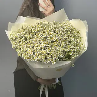 Букет ромашек XL