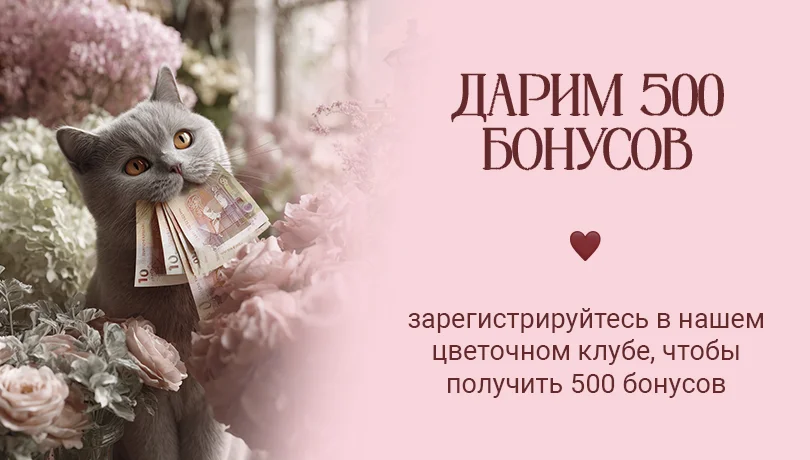 МСК моб - 500б