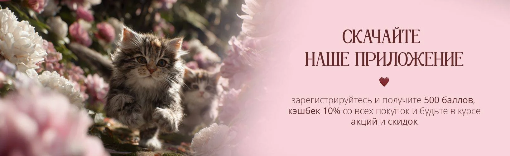 МСК десктоп - вступйте в цвет клуб