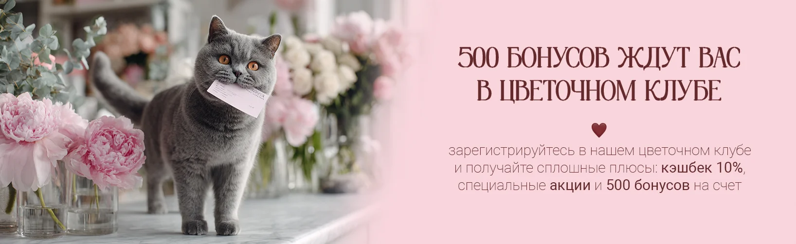 МСК десктоп - 500б
