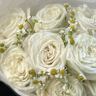 Дуо-букет роз Playa Blanca и матрикарии М