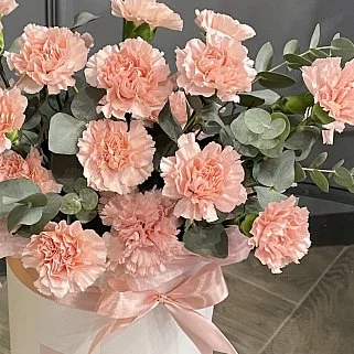 Букет в шляпной коробке из 25 розовых гвоздик