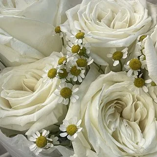 Дуо-букет роз Playa Blanca и матрикарии S