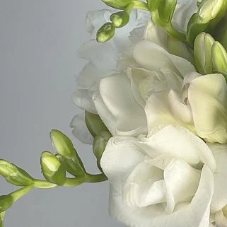 Раскидистый свадебный букет невесты из 19 фрезий