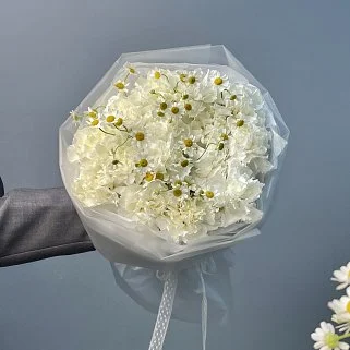 Белый дуо-букет гвоздик и матрикарий S