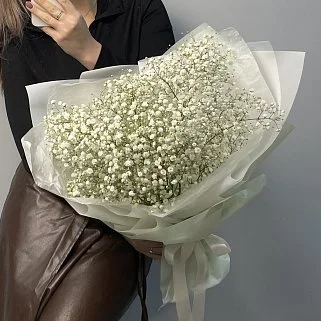 Букет из 5 веточек гипсофилы