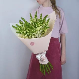 Букет из 21 антирринума