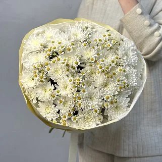 Дуо-букет хризантем Baltica и матрикарии S