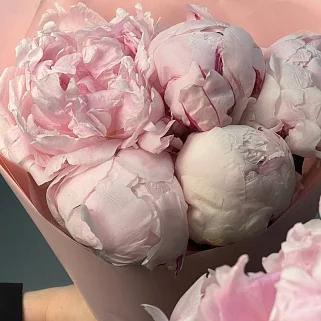 Букет из 5 розовых пионов