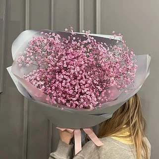 Букет из 11 веточек розовой гипсофилы