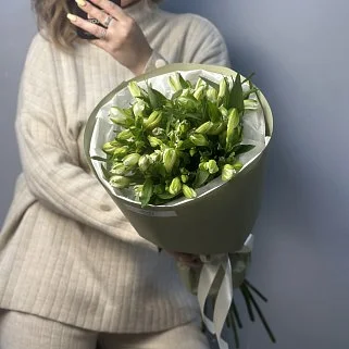 Букет из 11 белых альстромерий