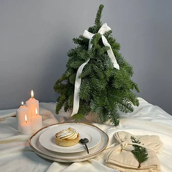 Натуральная ёлочка