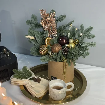 Зимняя композиция Брауни М