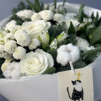 Котобукет M (подробности акции внутри)