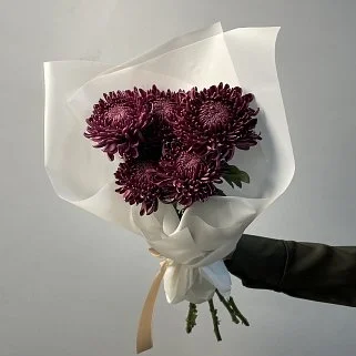 Букет из 5 хризантем Bigoudi