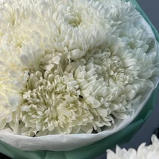 Букет из 11 белых хризантем